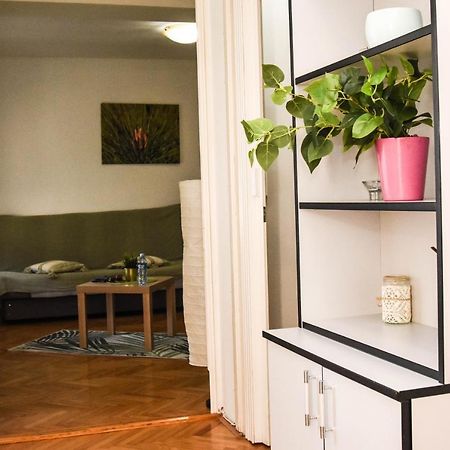 Apartment Kiwi Újvidék Kültér fotó